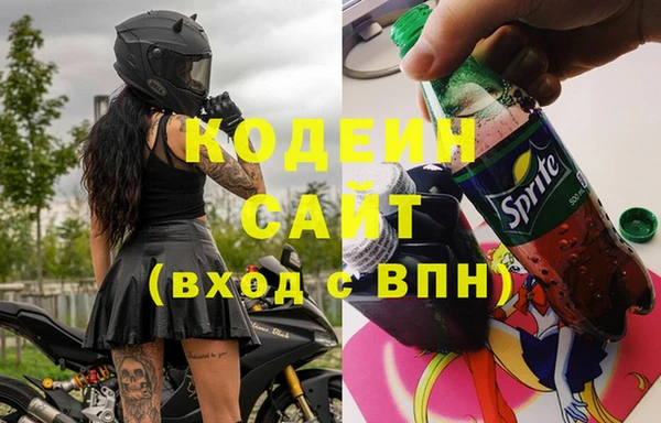 ECSTASY Алзамай