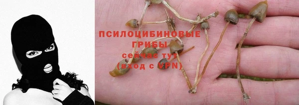 шишки Алексин