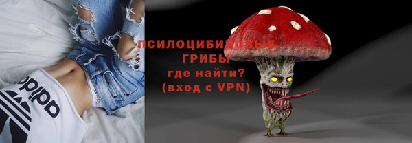 шишки Алексин