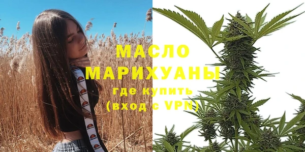амф Гусев