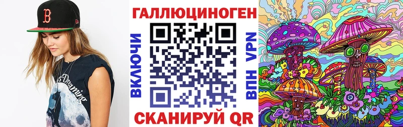 Псилоцибиновые грибы Psilocybine cubensis  Оленегорск 